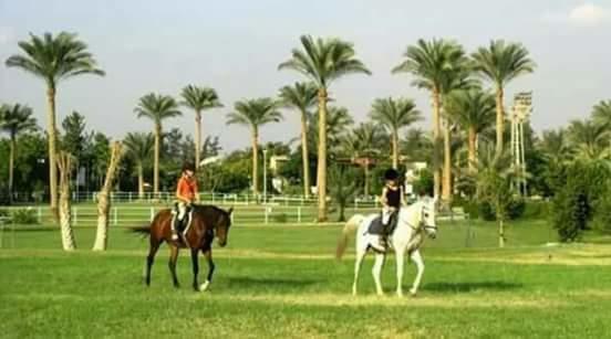 Sakkara Country Club Hotel El Hawamdeya 외부 사진