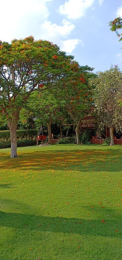 Sakkara Country Club Hotel El Hawamdeya 외부 사진